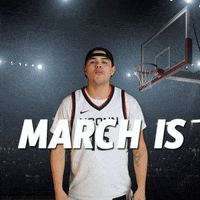 March Madness Hoops GIF by Basketball Madness