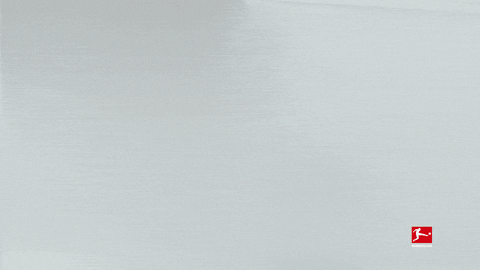 GIF by Bundesliga