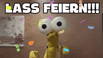 SaschaGrammel party sascha spaß socke GIF