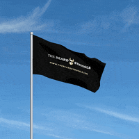 Flag Vikings GIF by THE BEARD STRUGGLE