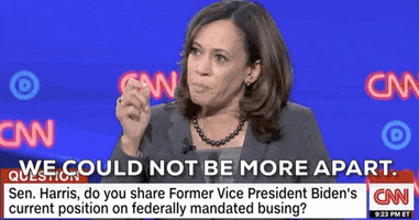 Kamala Harris Dnc Debates 2019 GIF by GIPHY News