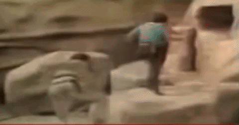 Tooley giphygifmaker GIF