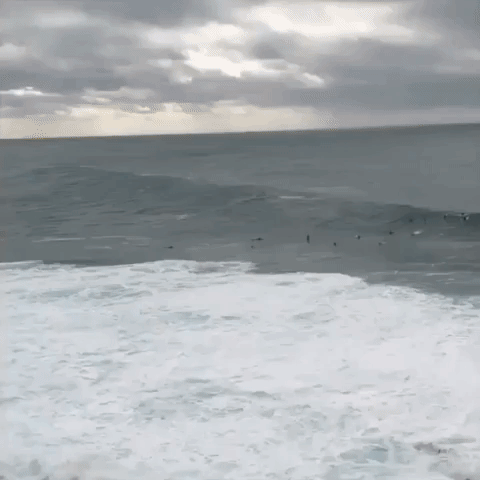 Surfer Wiped Out Tackling Giant Waves off Sydney as Storm Creates Hazardous Conditions