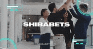 Shiba GIF by SHIBABETS.GG