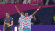 Womens Soccer Yes GIF by National Women's Soccer League