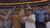Blue Jays Baseball GIF by Toronto Blue Jays