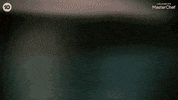 Reveal Ingredient GIF by MasterChefAU