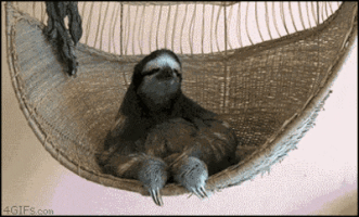 drunk nothing GIF