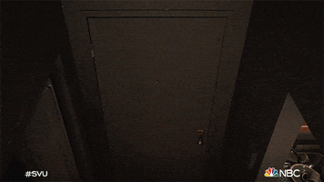 Episode 11 Nbc GIF by Law & Order