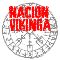 Vikings Sticker by Desafio Vikingo