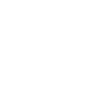 Vybz Stickers Sticker by VYBZ App