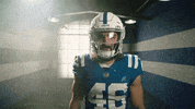 Football Sport GIF by Indianapolis Colts