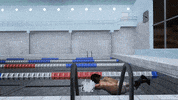 Six-Pack GIF by shame