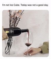 LeahVanDale cheers wine drinks salute GIF