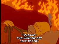 scared homer simpson GIF