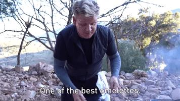 One Of The Best Omelettes