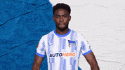 Bundesliga Boss GIF by Hertha BSC