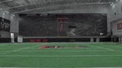 Seth Collins GIF by Texas Tech Football