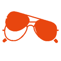 ecoeyewear glasses eyewear aviator ecoeyewear Sticker