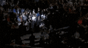 ufc sports sport ufc mma GIF