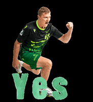 rimparerhandballer handball wolfe rimpar GIF
