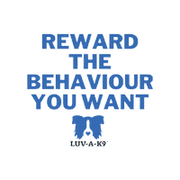 Dog Trainer Sticker by Luv-A-K9