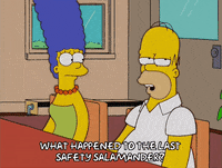 homer simpson episode 6 GIF
