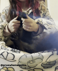 Dance Cat GIF