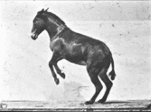 RBKheritage giphyupload GIF