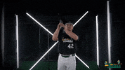 Tulane Rollwave GIF by GreenWave