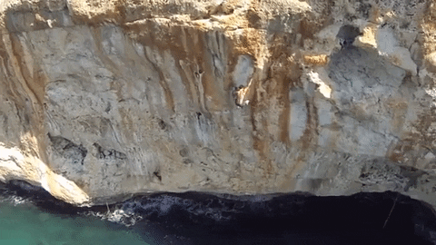 rock climbing GIF