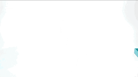 storage organization GIF by The Container Store