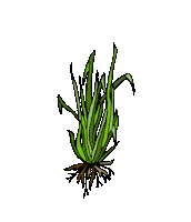Grass Muyu Sticker by DISCARD