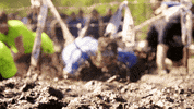 xletixcom x schnell hindernislauf xletix GIF