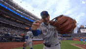 New York Mets Sport GIF by MLB