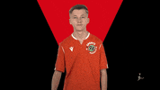 Hannover 96 Fifa GIF by Bundesliga