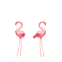 Elefante Sticker by NK