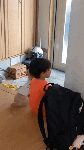 cuteanimalland giphyupload GIF