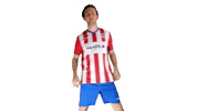 Svp9 Sticker by De Kaascoman