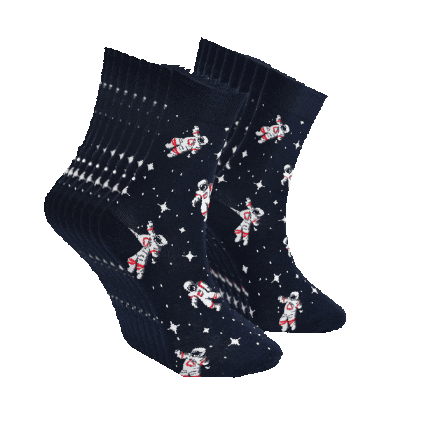RoiSocks socks sock uzay uzaylı Sticker