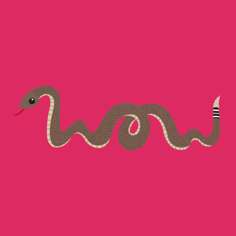 Rattle Snake Wow GIF by Nomadic Agency