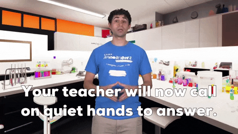 imagineerz your teacher will now call on quiet hands to answer GIF