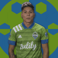 Seattle Sounders Sea GIF by Major League Soccer