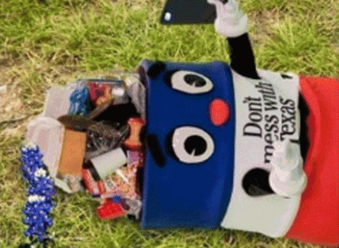 Spring Selfie GIF by Don't mess with Texas