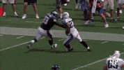 Tennessee Titans Football GIF by NFL