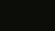 Weekend Bier GIF by Robin Piek