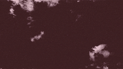 Art Film GIF by jorgemariozuleta