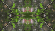 Art Love GIF by jorgemariozuleta
