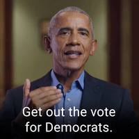 Get out the vote for Democrats.