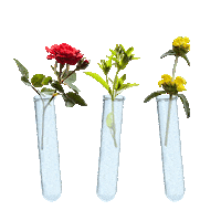 greek tubes Sticker by Apivita